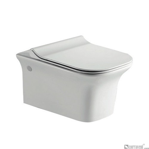home depot wall hung toilet